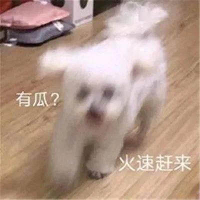 娱乐圈吃瓜微信聊天
