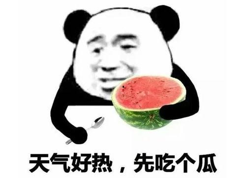 表情吃瓜是啥意思啊,表情吃瓜的含义与趣味